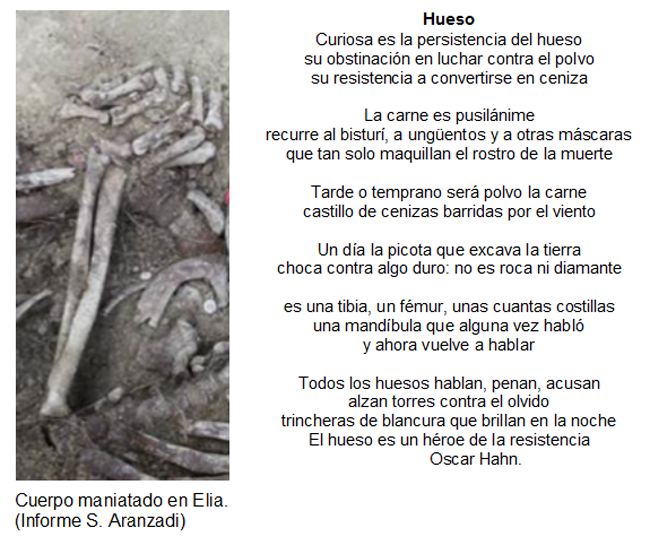 Exhumación en Elía